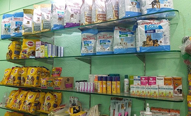 Top Pet Shops For Dog in Tingare Nagar,Pune - Best Pet Supplies Store near  me - Justdial